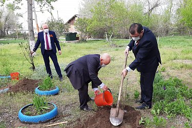В знак памяти – Цветы Победы
